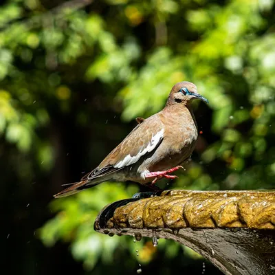 Illustration dripped - Image 2