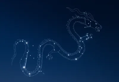 Illustration dragon - Image 1