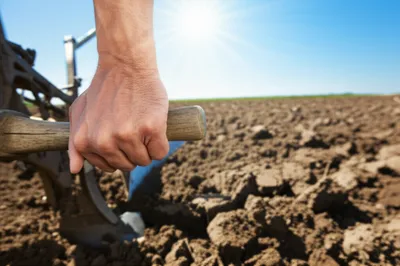 Illustration stilt - Image 1