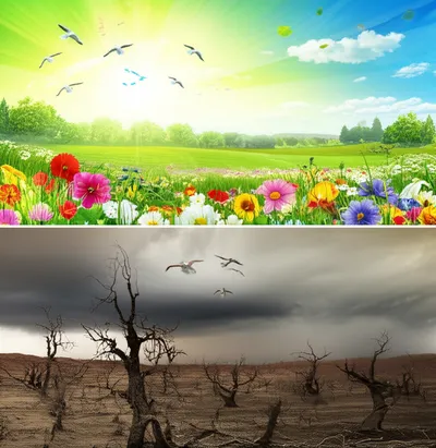 Illustration signs - Image 1