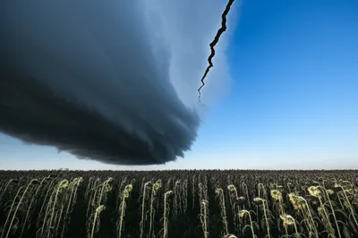 Illustration portend - Image 1