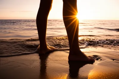 Illustration toed - Image 1