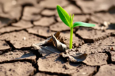 Illustration renew - Image 1