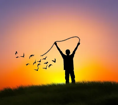 Illustration libertarian