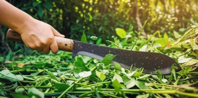 Illustration machete