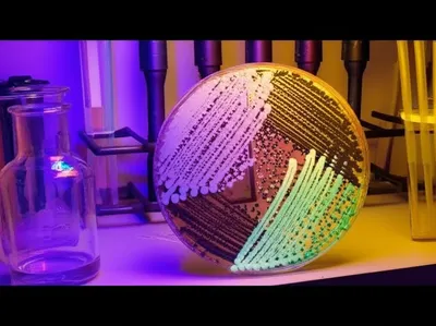 Illustration culturing