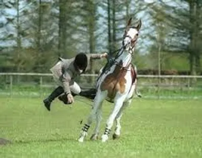 Illustration unseat - Image 2