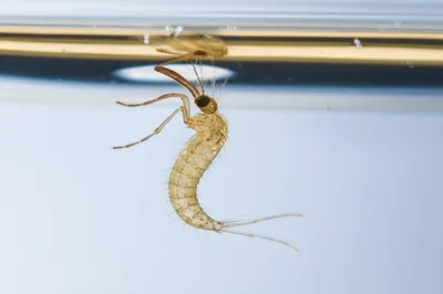 Illustration tumblers - Image 1