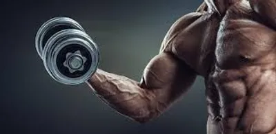 Illustration muscle - Image 2