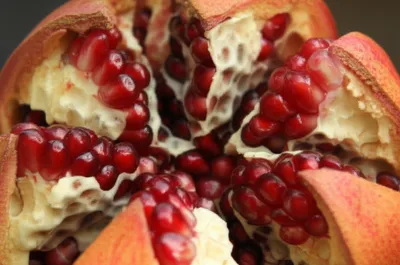 Illustration valves - Image 1