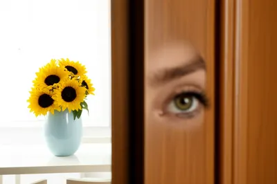 Illustration glimpsed