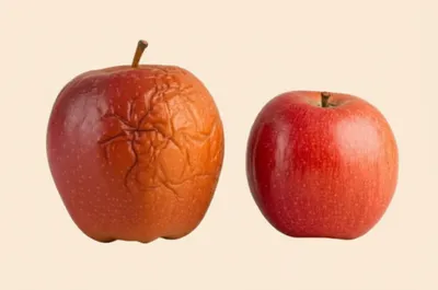 Illustration shrunken - Image 1