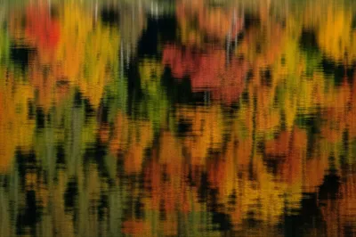 Illustration reflections - Image 1