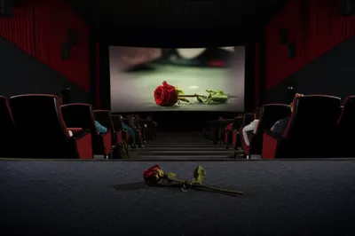 Illustration dogs - Image 1