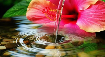 Illustration influencing - Image 1