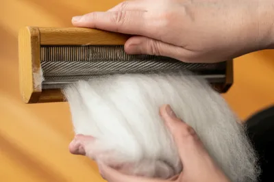 Illustration carding - Image 1