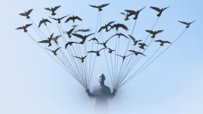 Illustration collars - Image 1