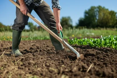 Illustration shim - Image 1