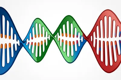 Illustration aligning - Image 1