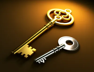 Illustration adjuncts - Image 1