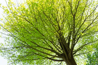 Illustration leaving - Image 1