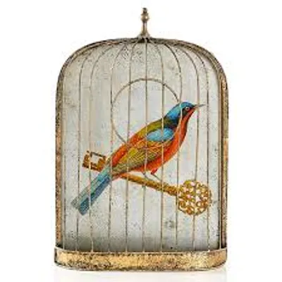 Illustration caged - Image 2