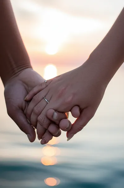 Illustration plighted - Image 1