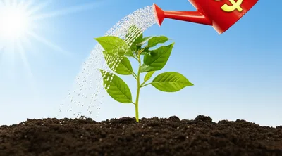 Illustration funded - Image 1