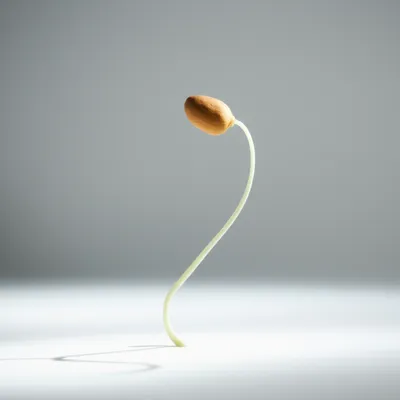 Illustration event - Image 1