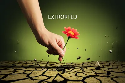 Illustration rack - Image 1