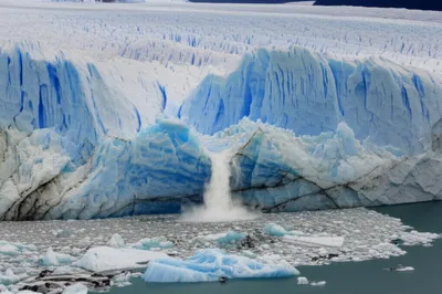 Illustration snout - Image 1