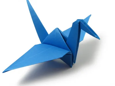 Illustration folds - Image 1