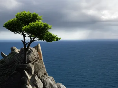 Illustration endures - Image 1