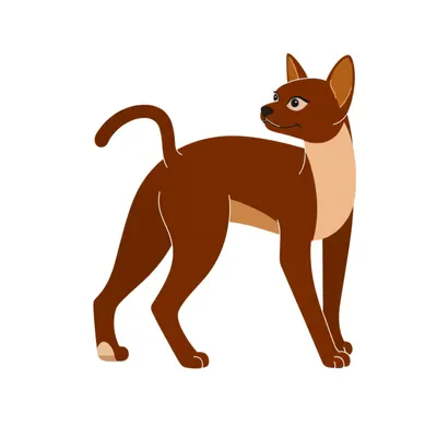 Hình ảnh minh họa presented - Ảnh 1