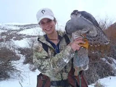 Illustration hawk - Image 2