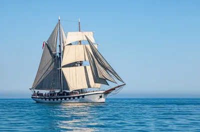 Illustration fairer - Image 1