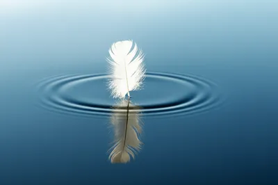 Illustration eased - Image 1