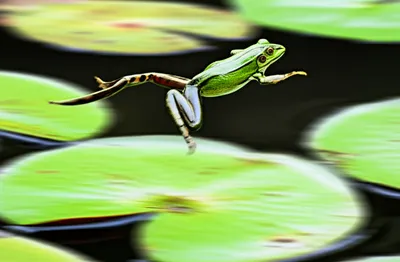 Illustration bound - Image 1