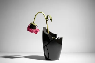 Illustration fucking - Image 1