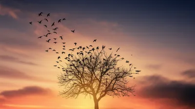 Illustration rm - Image 1