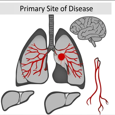 Illustration primary - Image 1