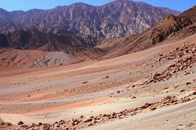 Illustration bajada - Image 1