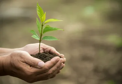 Illustration handing - Image 1