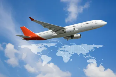 Illustration carrier - Image 1