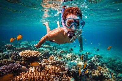 Визуальная иллюстрация слова «snorkeling» - Плавать с трубкой