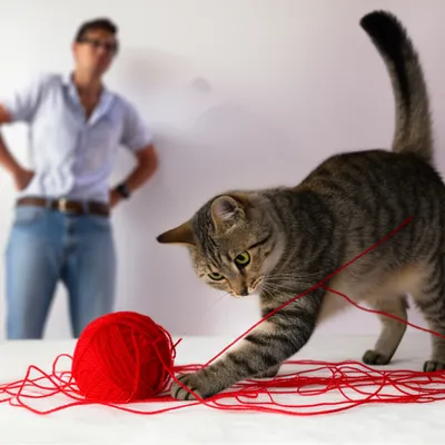 Illustration messes - Image 1