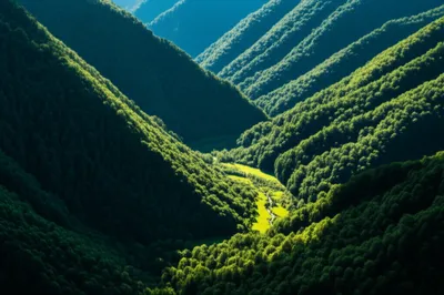 Illustration cockpit - Image 1