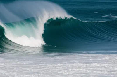 Illustration dactyls