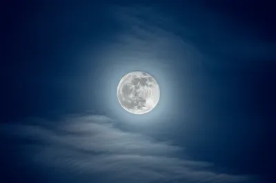 Illustration fulling - Image 1