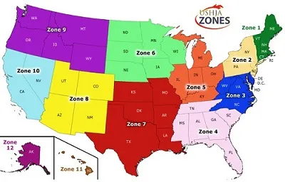 Illustration zone - Image 2